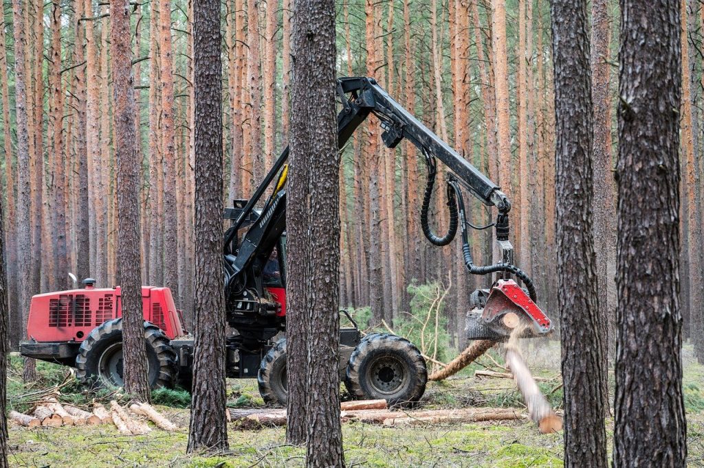 How Payeur Can Help The Environment