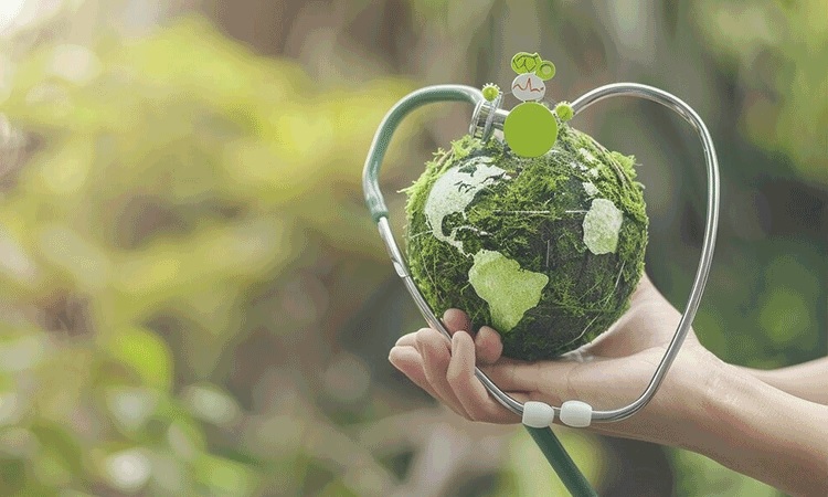 Sustainable Healthcare Fitouts: Green Solutions for a Healthier Planet